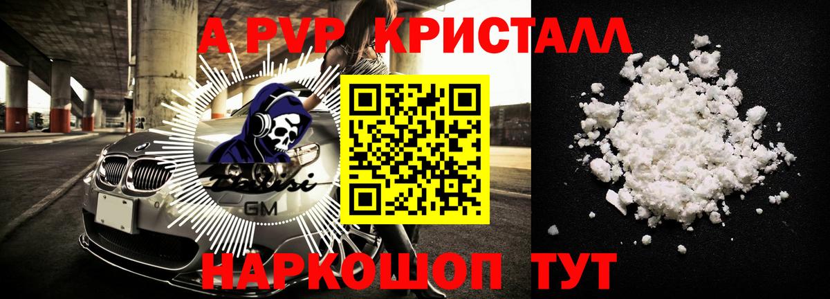 Alfa_PVP СК Апатиты