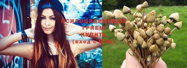 шишки Алзамай