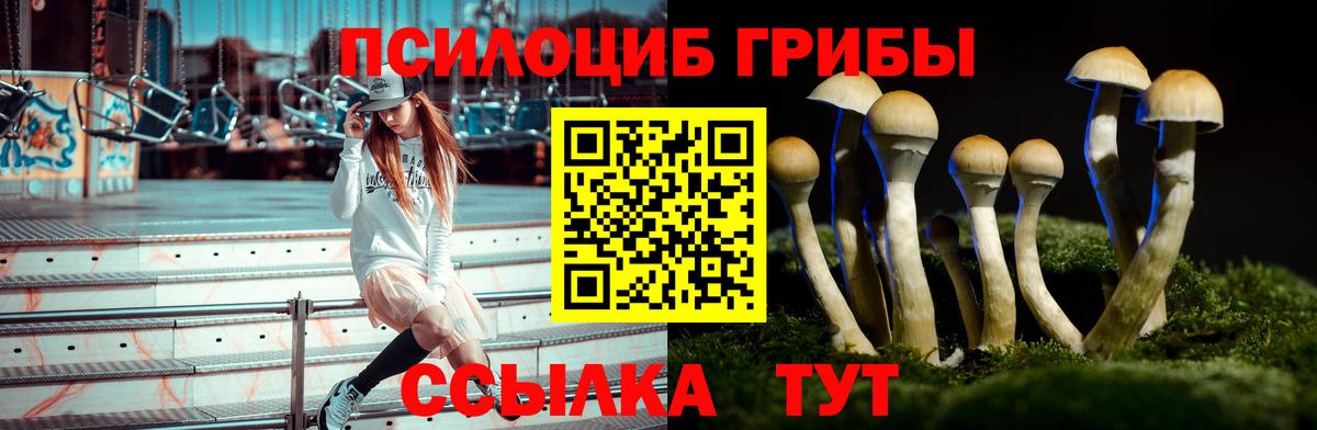 Апатиты  Псилоцибиновые грибы ЛСД  Галлюциногенные грибы мицелий  Вход с VPN 